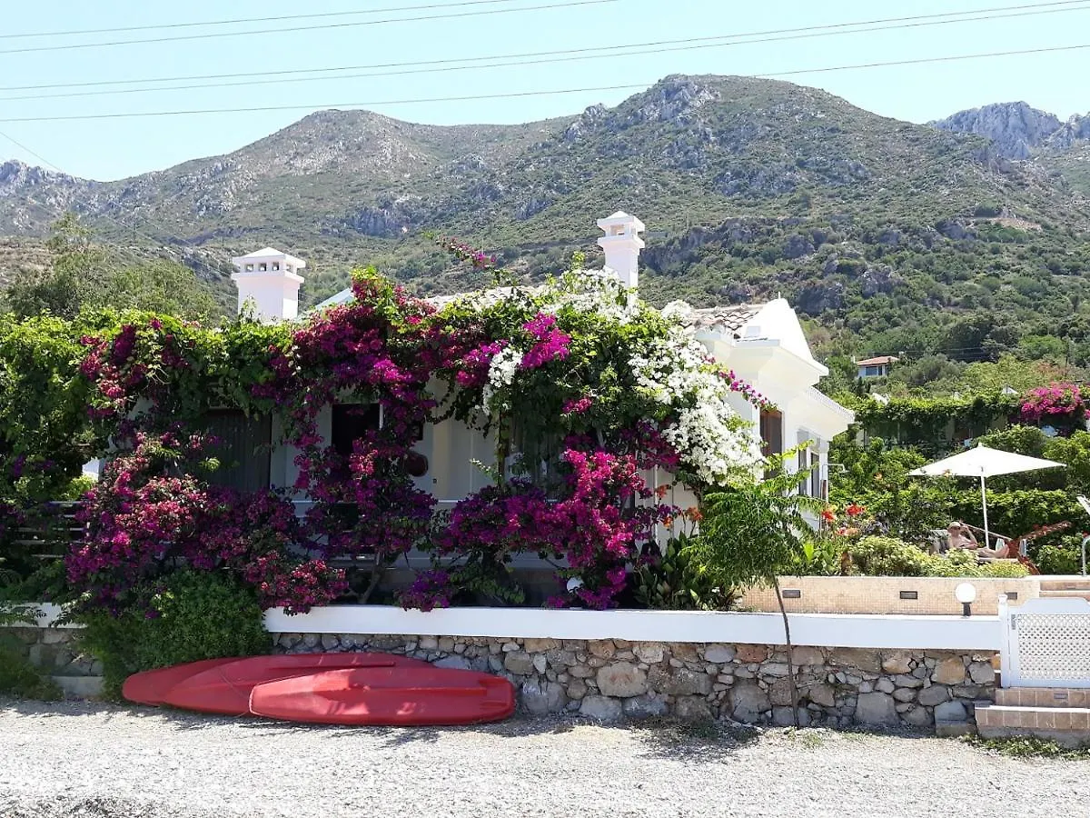 Homestay Villa Askim Sogut